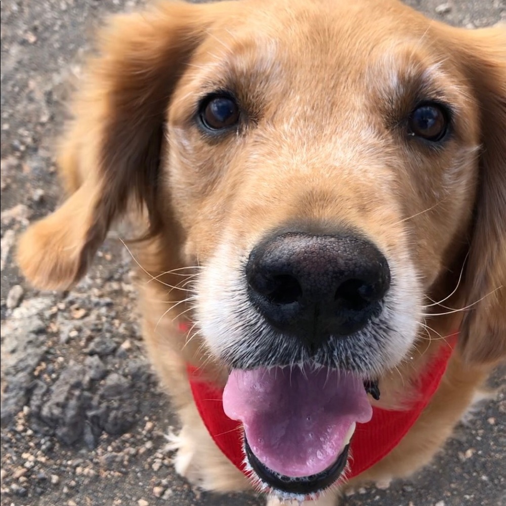 Meet your Posher, Rian-angelica